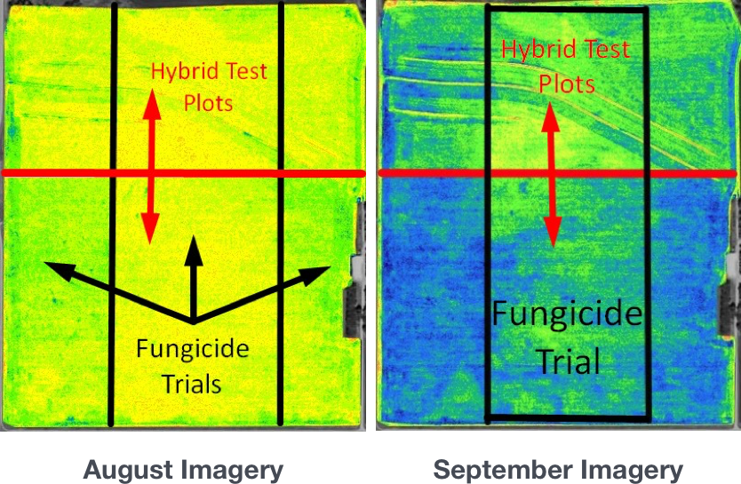 hybrid_tests-1