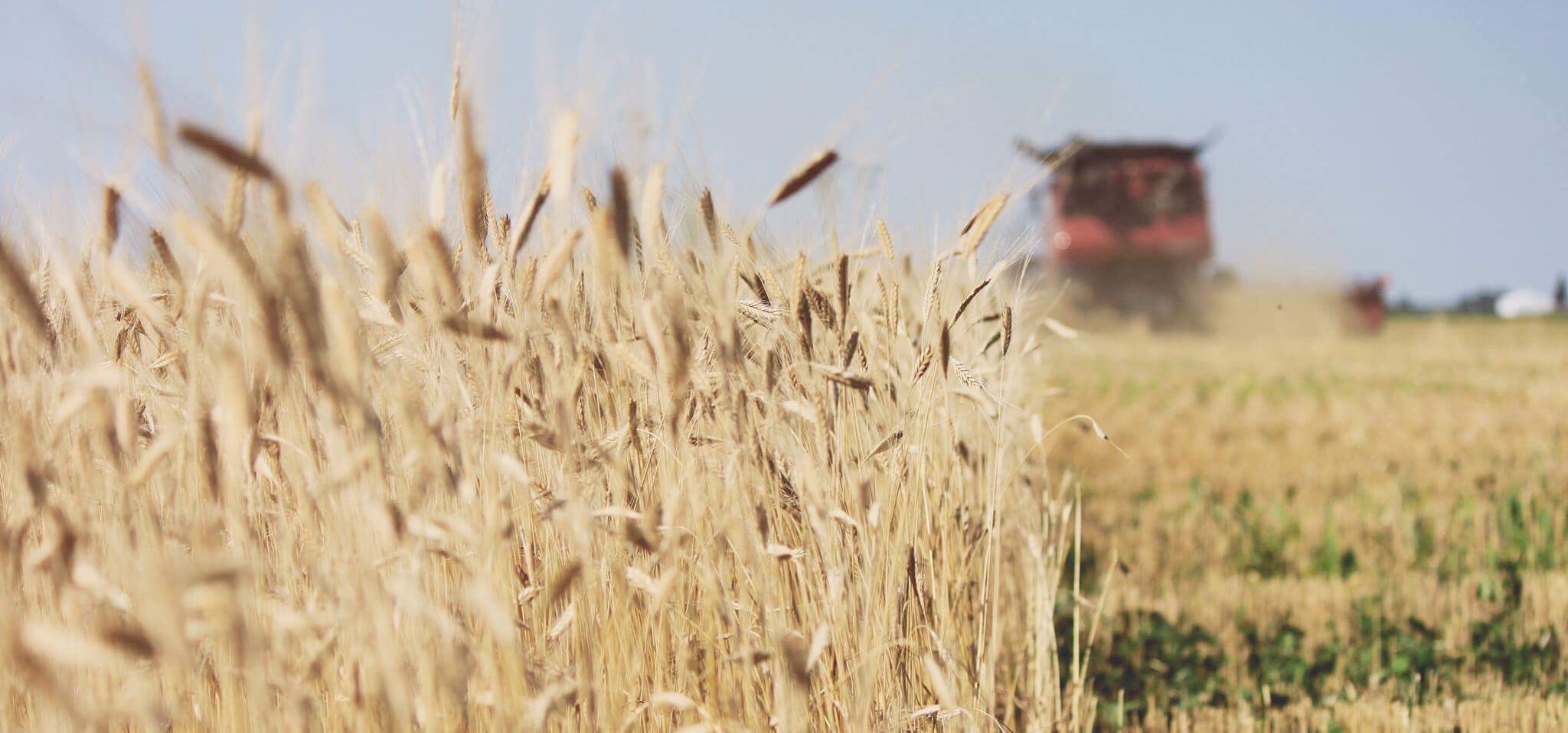 Intro to Grain Marketing: Webinar Q&A